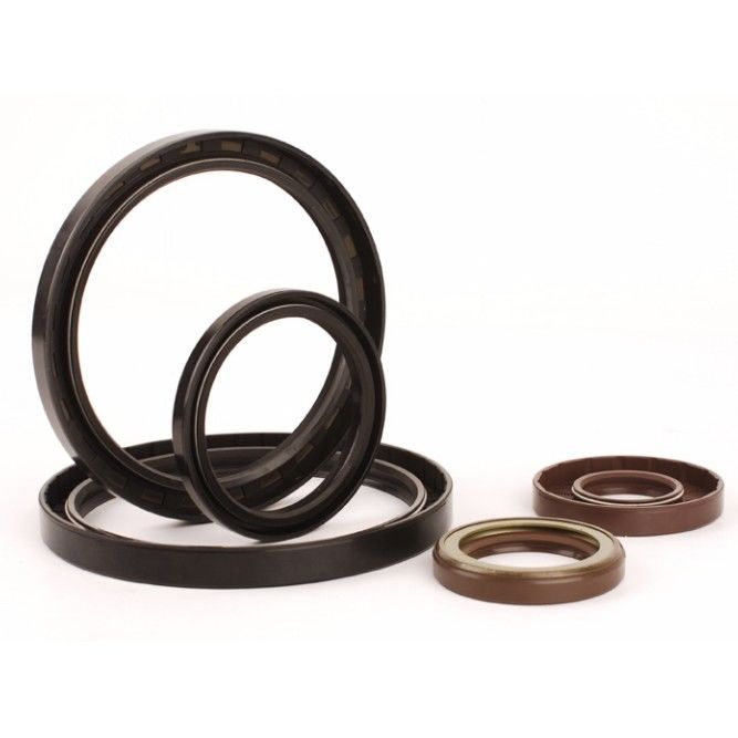 PTFE 304 FP نوع U-Seals برای سیلندر های هیدرولیک
