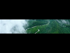 توسعه شرکت کولن